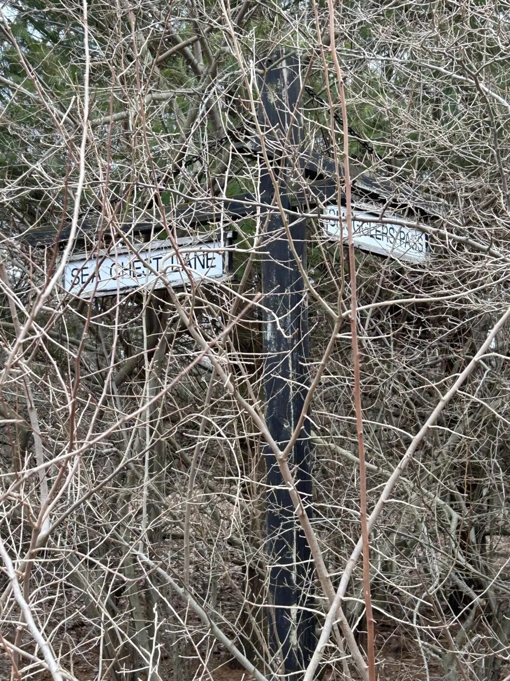 V/L Smugglers Pass Lot 15 Pentwater, MI 49449