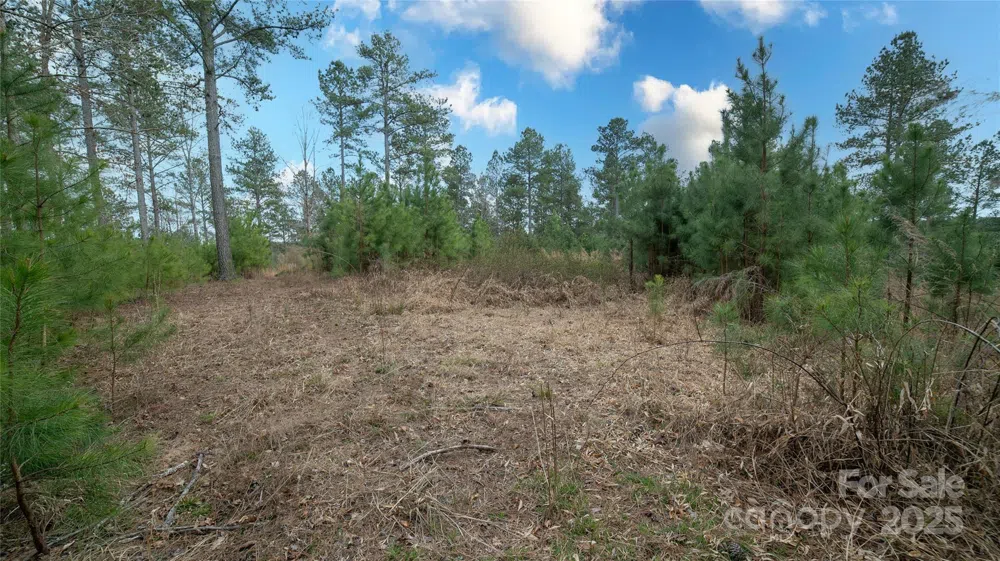 6355 McGalliard Pointe Drive NE #5 Valdese, NC 28690