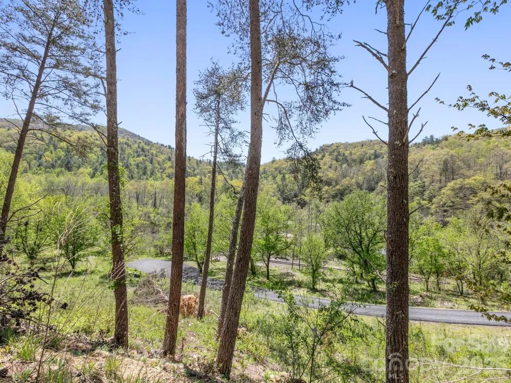 21 River Park Way #47 Marshall, NC 28753