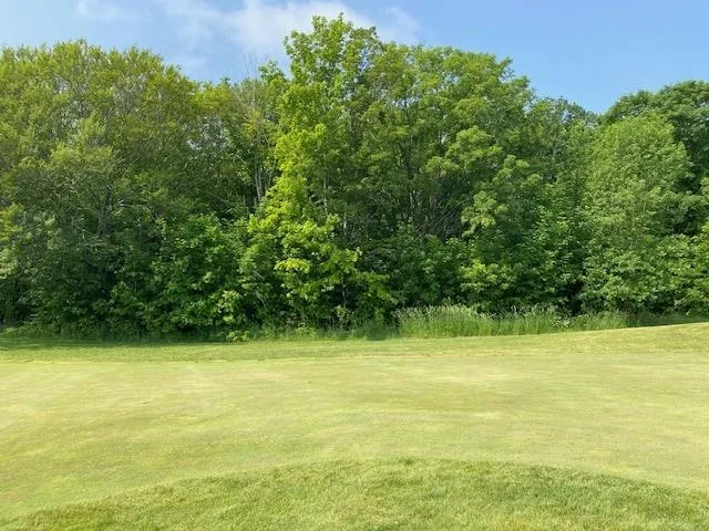 Mooney Way Torch Lake Township, MI 49648