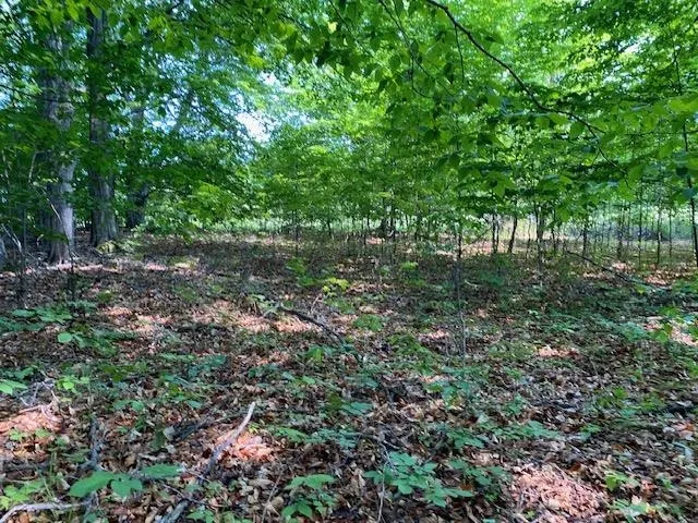 Mooney Way Torch Lake Township, MI 49648