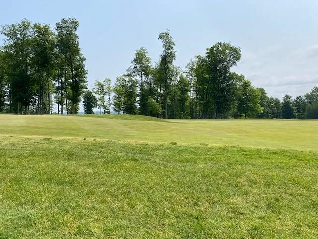 Mooney Way Torch Lake Township, MI 49648