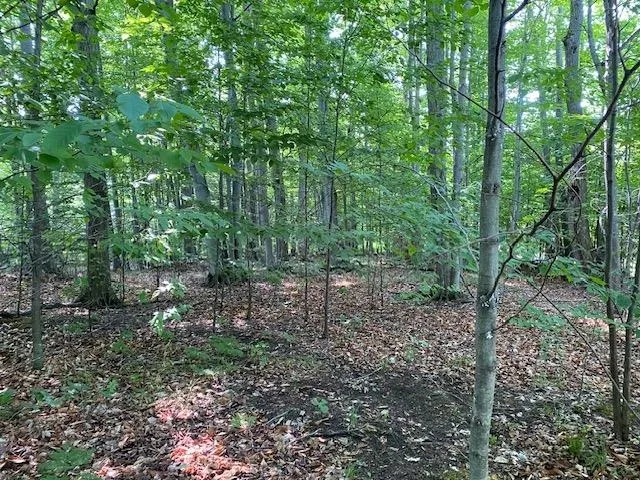 Mooney Way Torch Lake Township, MI 49648