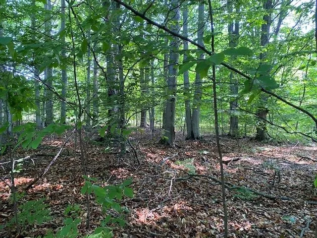 Mooney Way Torch Lake Township, MI 49648