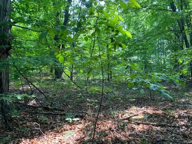 Mooney Way Torch Lake Township, MI 49648