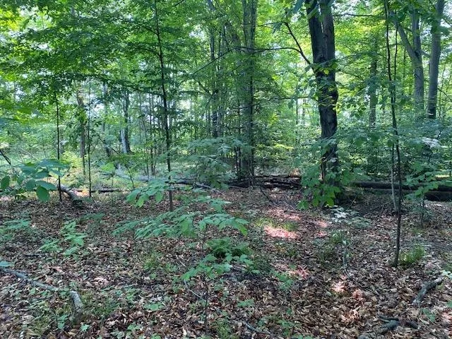 Mooney Way Torch Lake Township, MI 49648