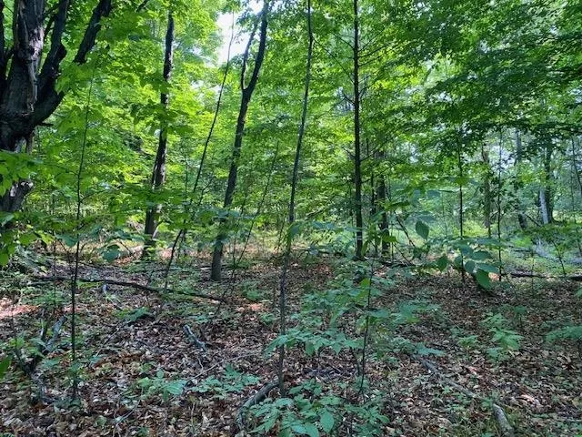 Mooney Way Torch Lake Township, MI 49648