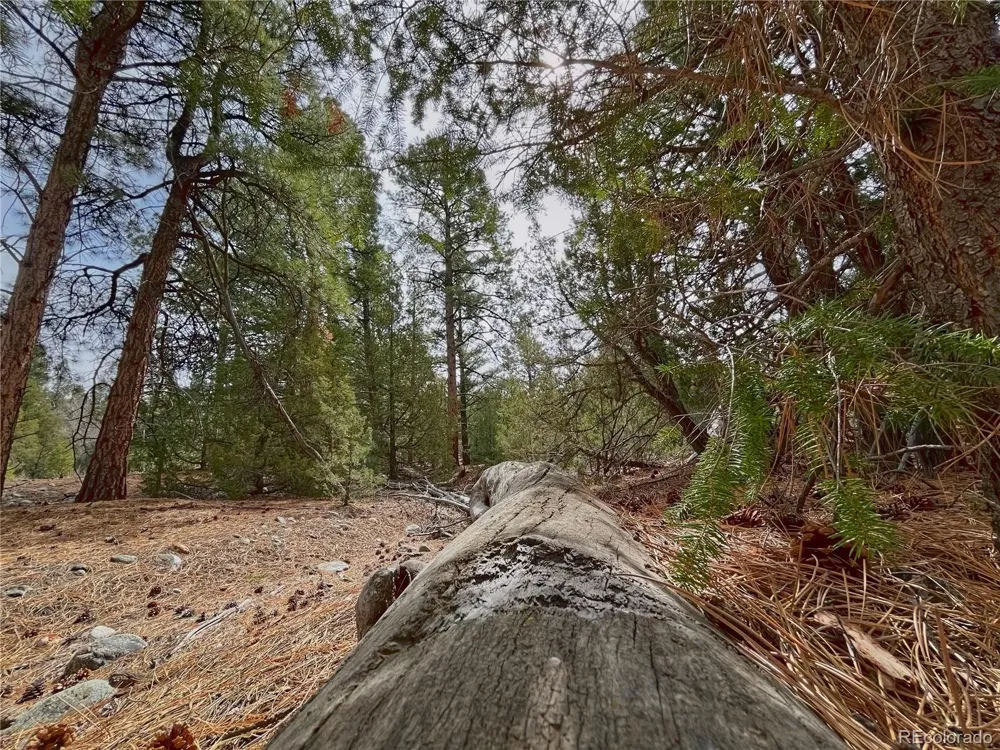 54 & 56 Big Bear Road