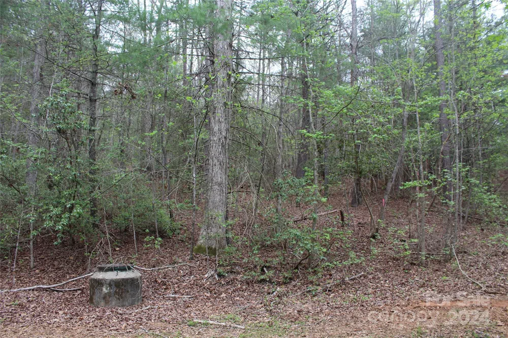 350 Sycamore Avenue NW #6 & 2 Valdese, NC 28690