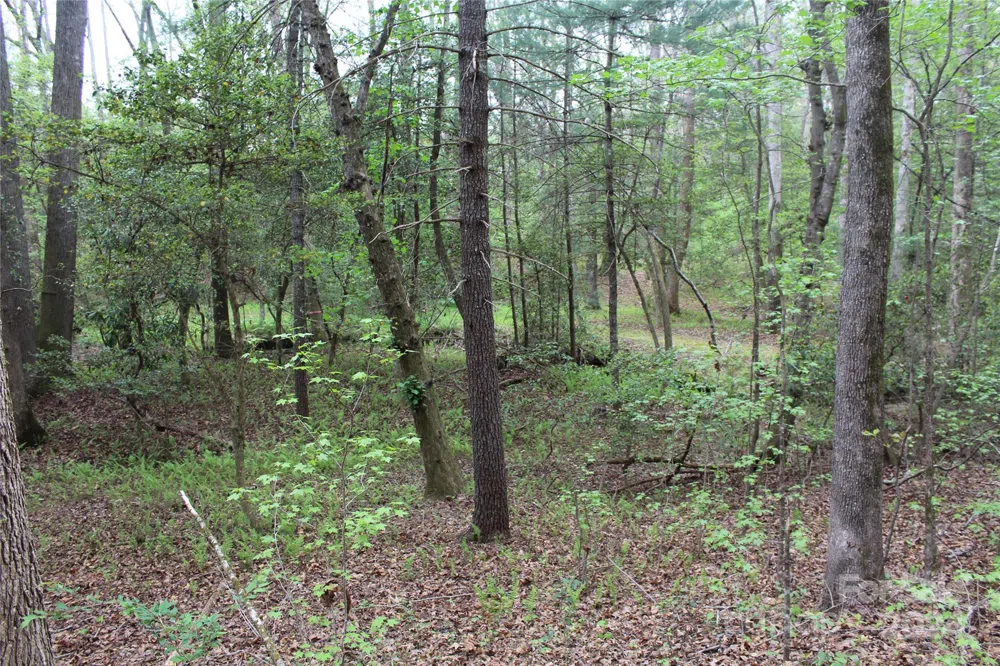 350 Sycamore Avenue NW #6 & 2 Valdese, NC 28690