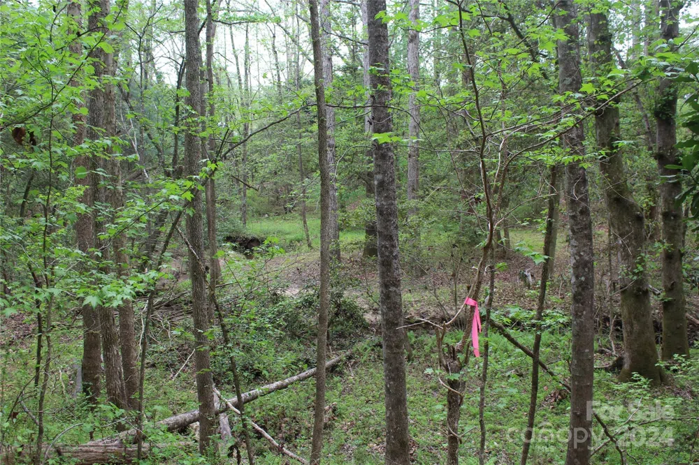 350 Sycamore Avenue NW #6 & 2 Valdese, NC 28690