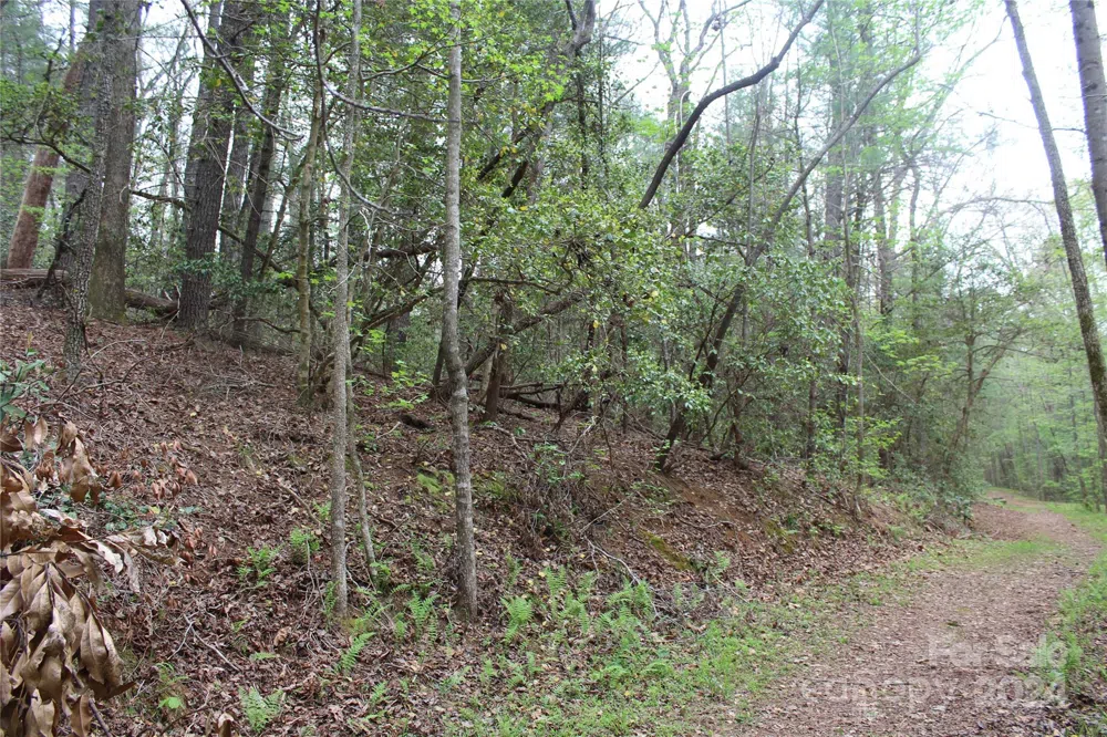 350 Sycamore Avenue NW #6 & 2 Valdese, NC 28690