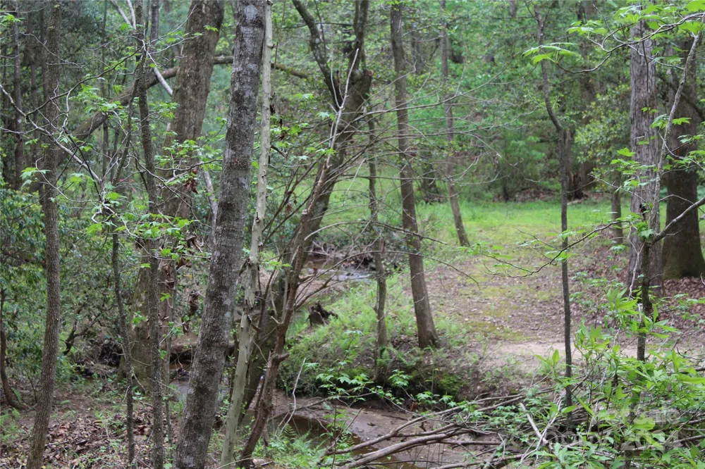 350 Sycamore Avenue NW #6 & 2 Valdese, NC 28690