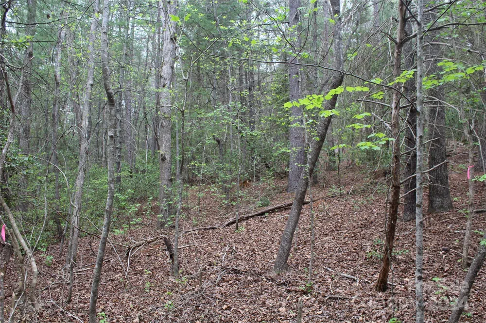 350 Sycamore Avenue NW #6 & 2 Valdese, NC 28690