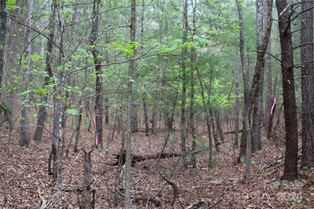 350 Sycamore Avenue NW #6 & 2 Valdese, NC 28690