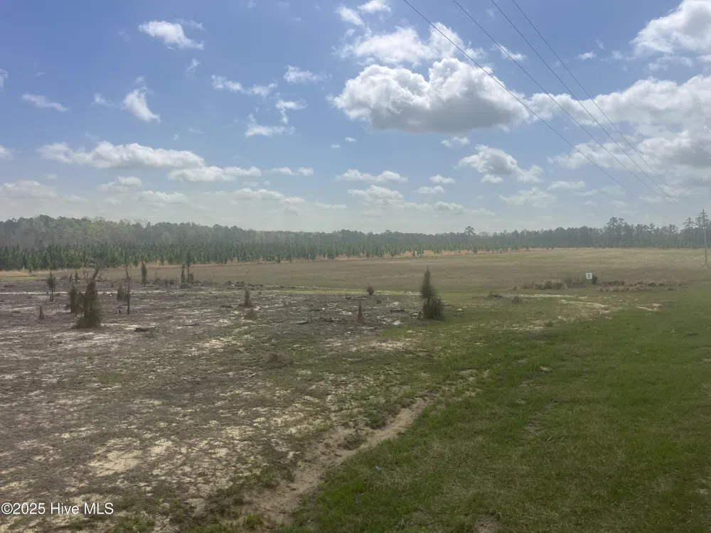 1711 Currie Mill Road Jackson Springs, NC 27281