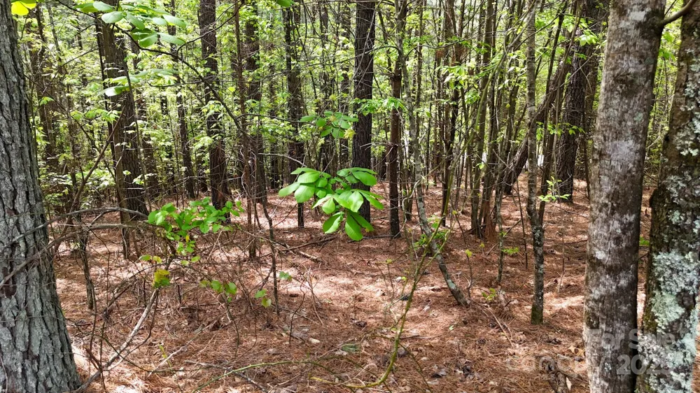 103 W Shortoff Trail NW #113 Valdese, NC 28690