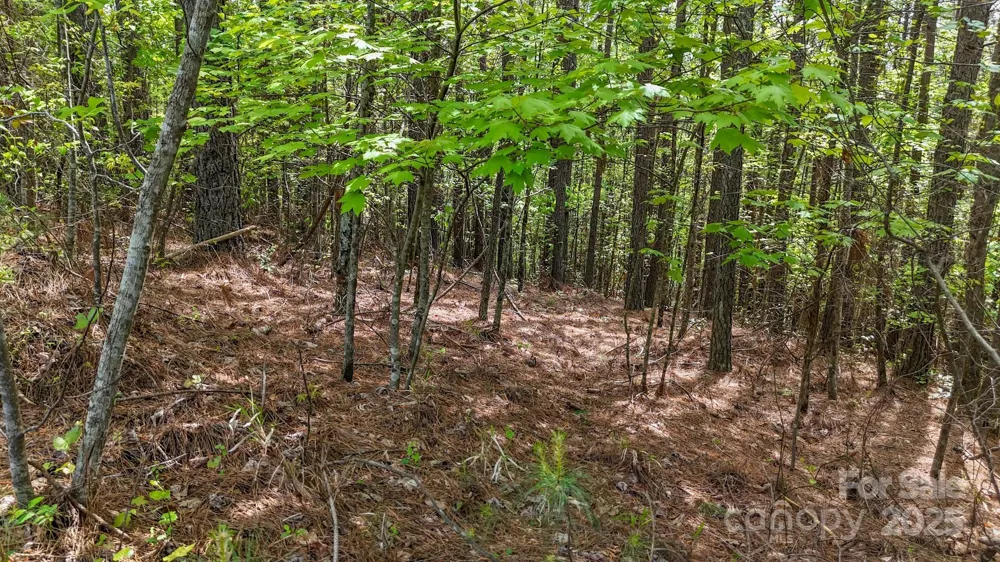 103 W Shortoff Trail NW #113 Valdese, NC 28690