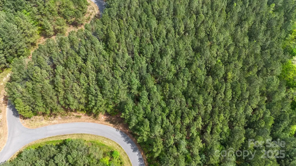 103 W Shortoff Trail NW #113 Valdese, NC 28690