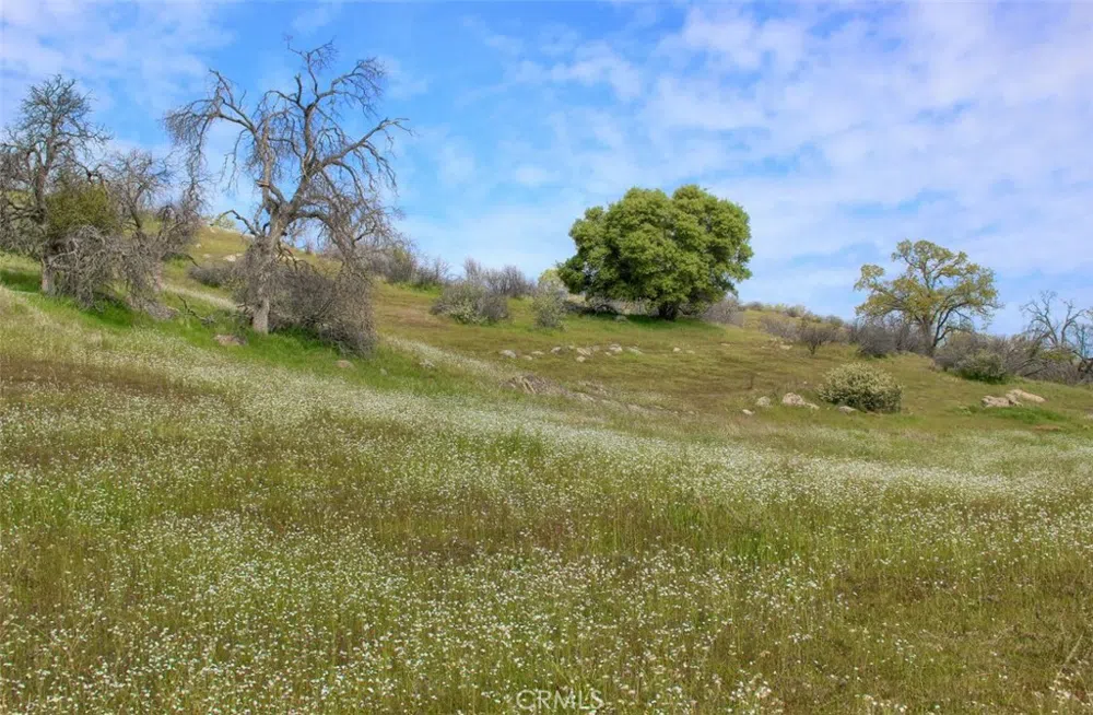 32604 Road 600 Raymond, CA 93653