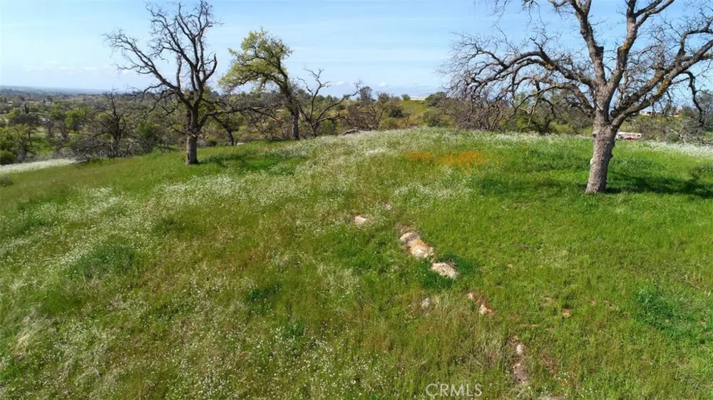 32604 Road 600 Raymond, CA 93653