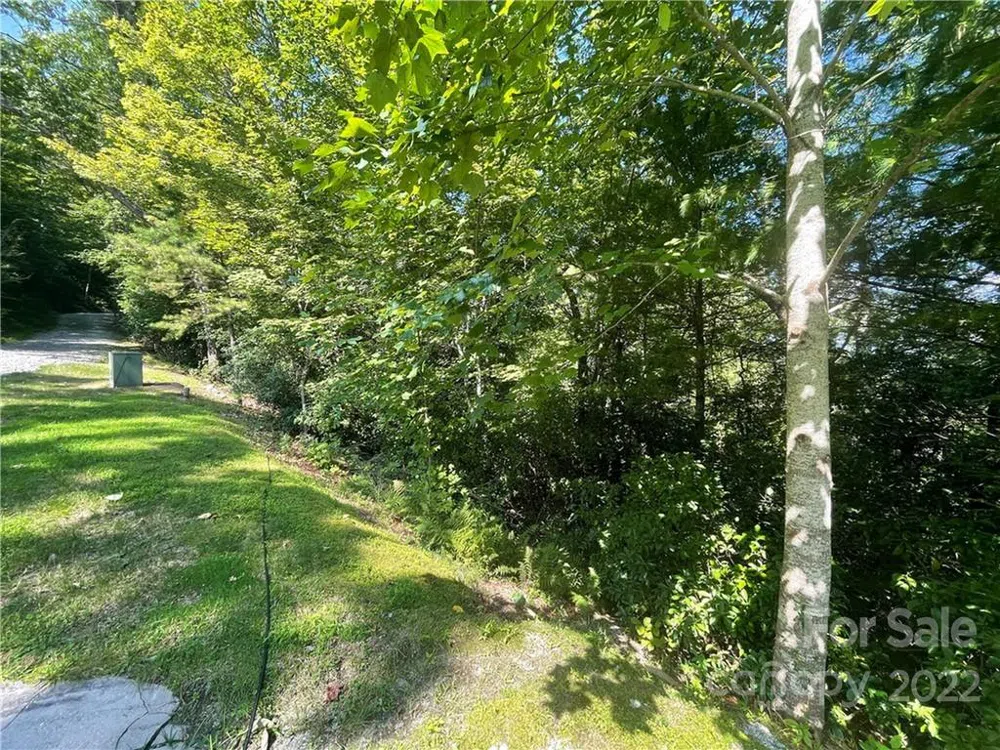 99999 Pine Mountain Trail #M37 Brevard, NC 28712
