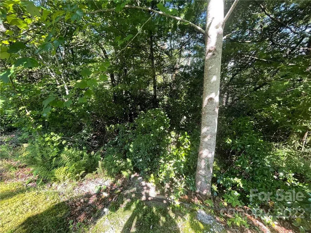99999 Pine Mountain Trail #M37 Brevard, NC 28712
