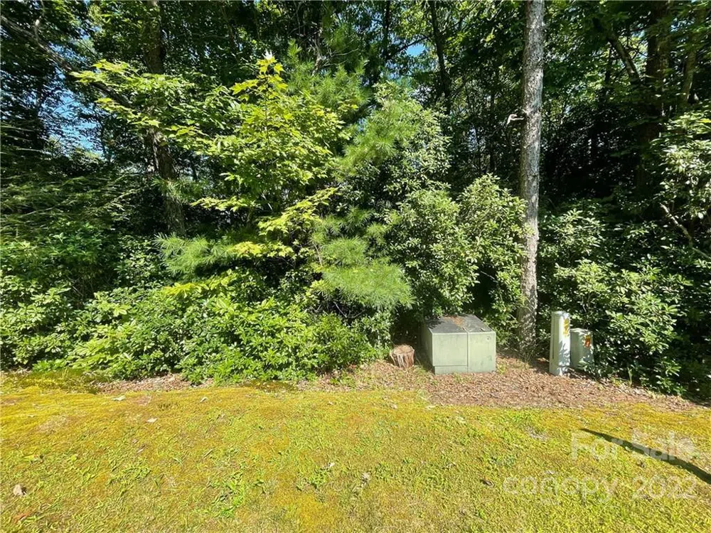 99999 Pine Mountain Trail #M37 Brevard, NC 28712