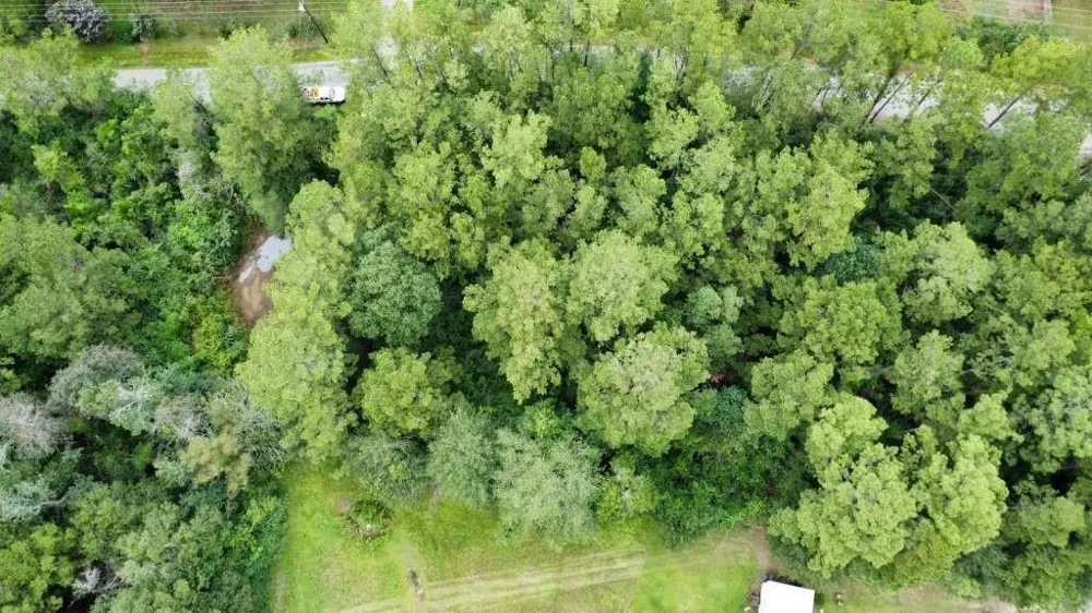 336 Powdrill Buna, TX 77612