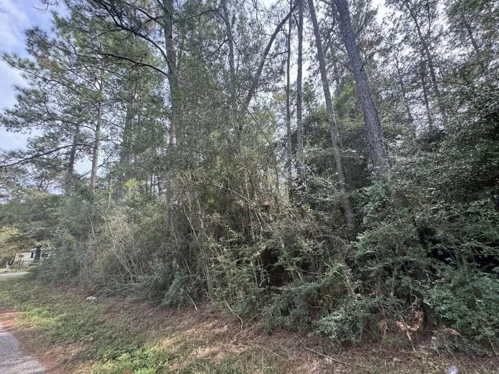 336 Powdrill Buna, TX 77612