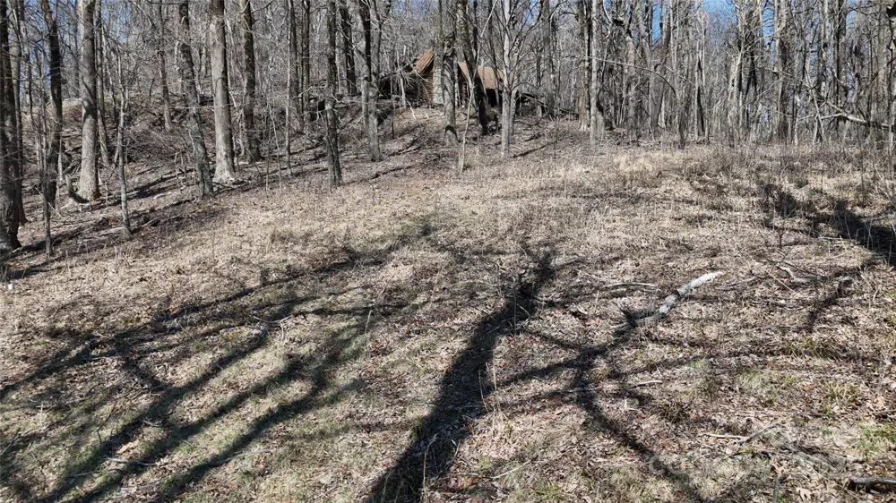 1.1 Acre Blockaders Den Road Columbus, NC 28722