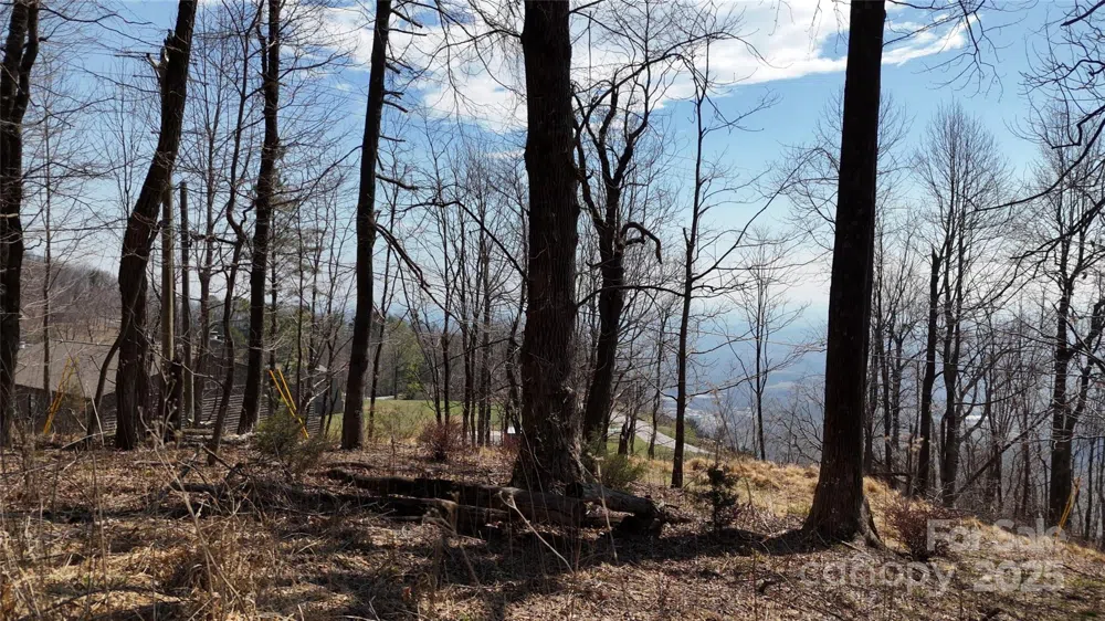 1.1 Acre Blockaders Den Road Columbus, NC 28722