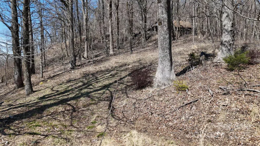 1.1 Acre Blockaders Den Road Columbus, NC 28722