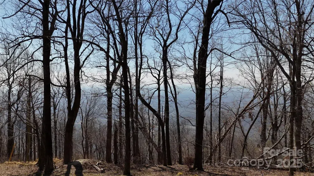 1.1 Acre Blockaders Den Road Columbus, NC 28722