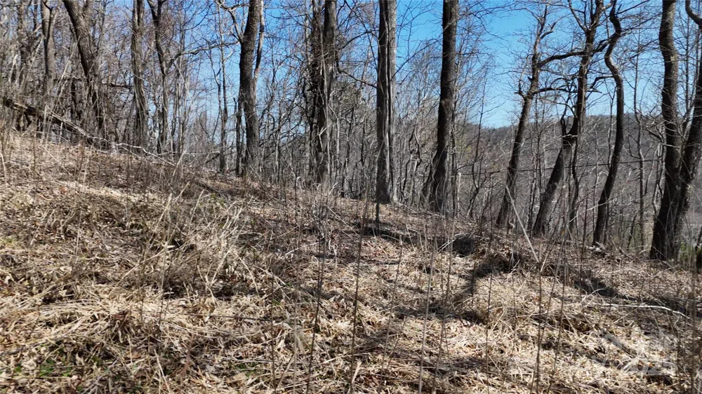 1.1 Acre Blockaders Den Road Columbus, NC 28722