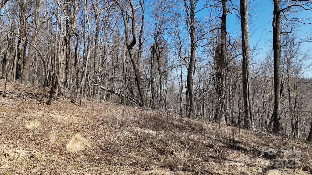 1.1 Acre Blockaders Den Road Columbus, NC 28722