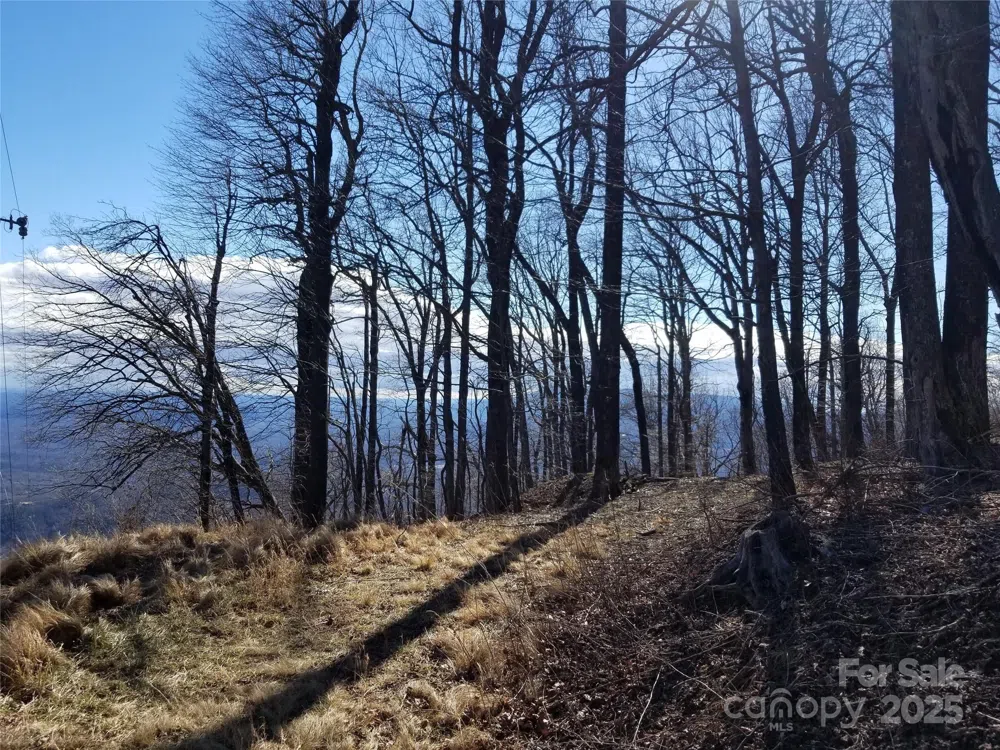 1.1 Acre Blockaders Den Road Columbus, NC 28722