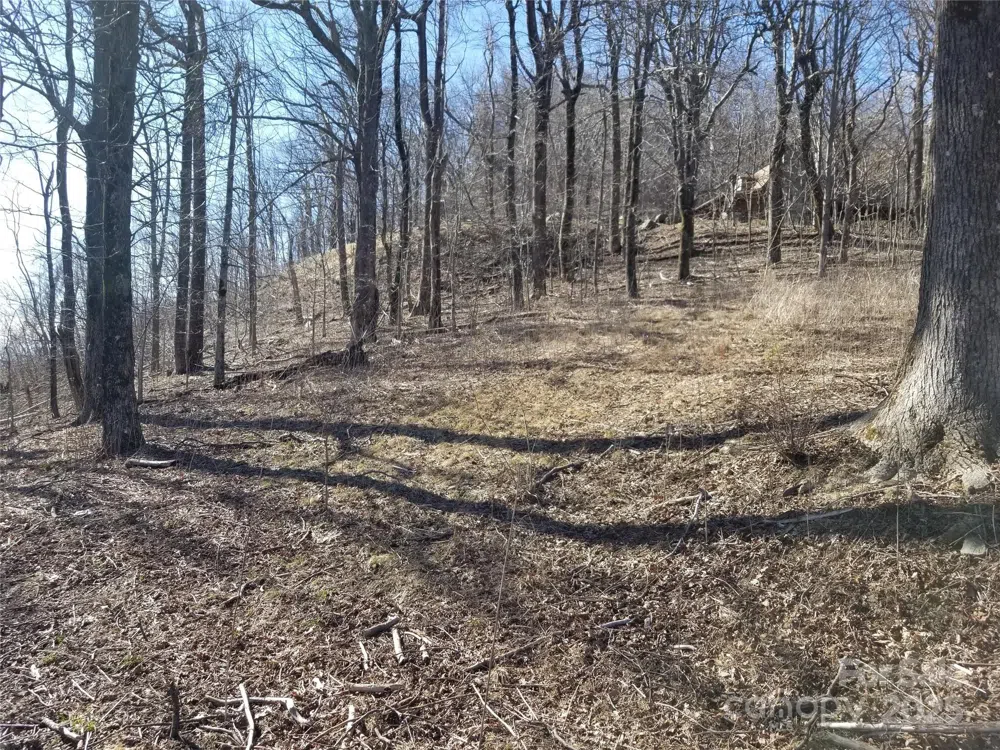 1.1 Acre Blockaders Den Road Columbus, NC 28722