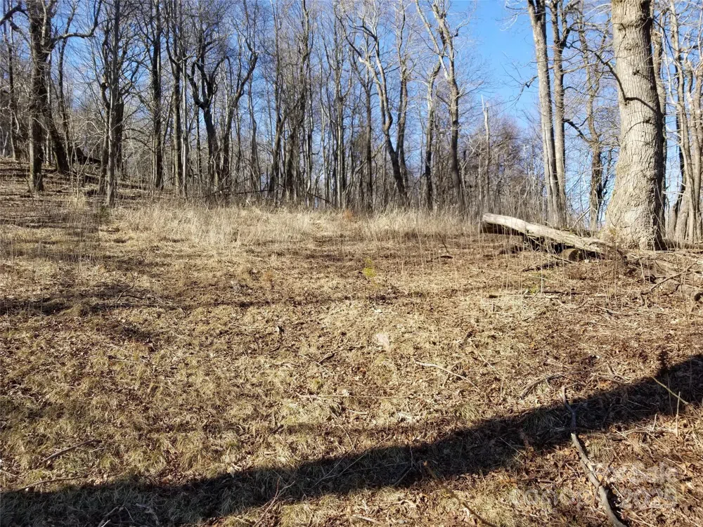 1.1 Acre Blockaders Den Road Columbus, NC 28722