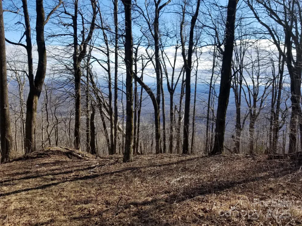 1.1 Acre Blockaders Den Road Columbus, NC 28722