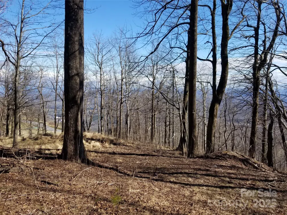 1.1 Acre Blockaders Den Road Columbus, NC 28722