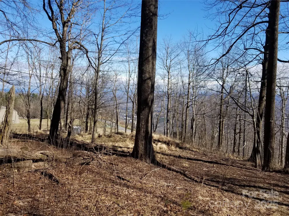 1.1 Acre Blockaders Den Road Columbus, NC 28722