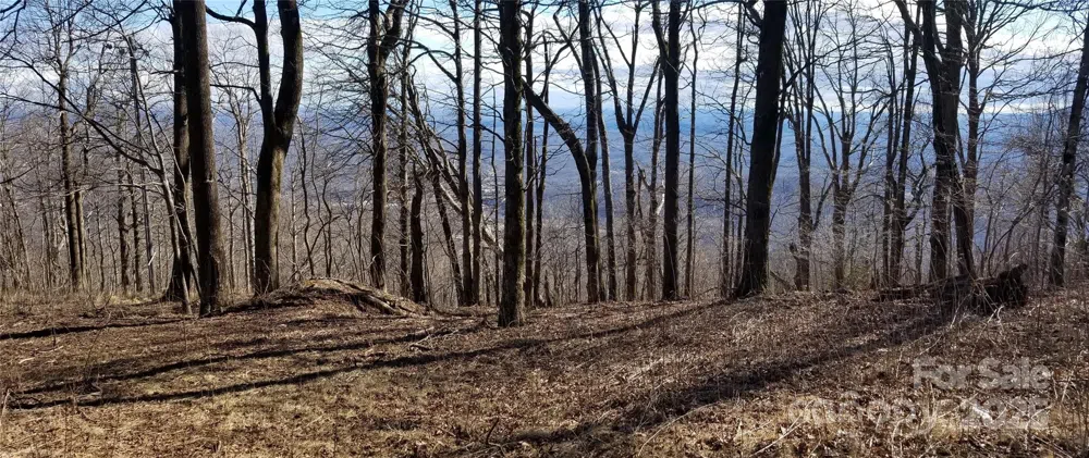 1.1 Acre Blockaders Den Road Columbus, NC 28722