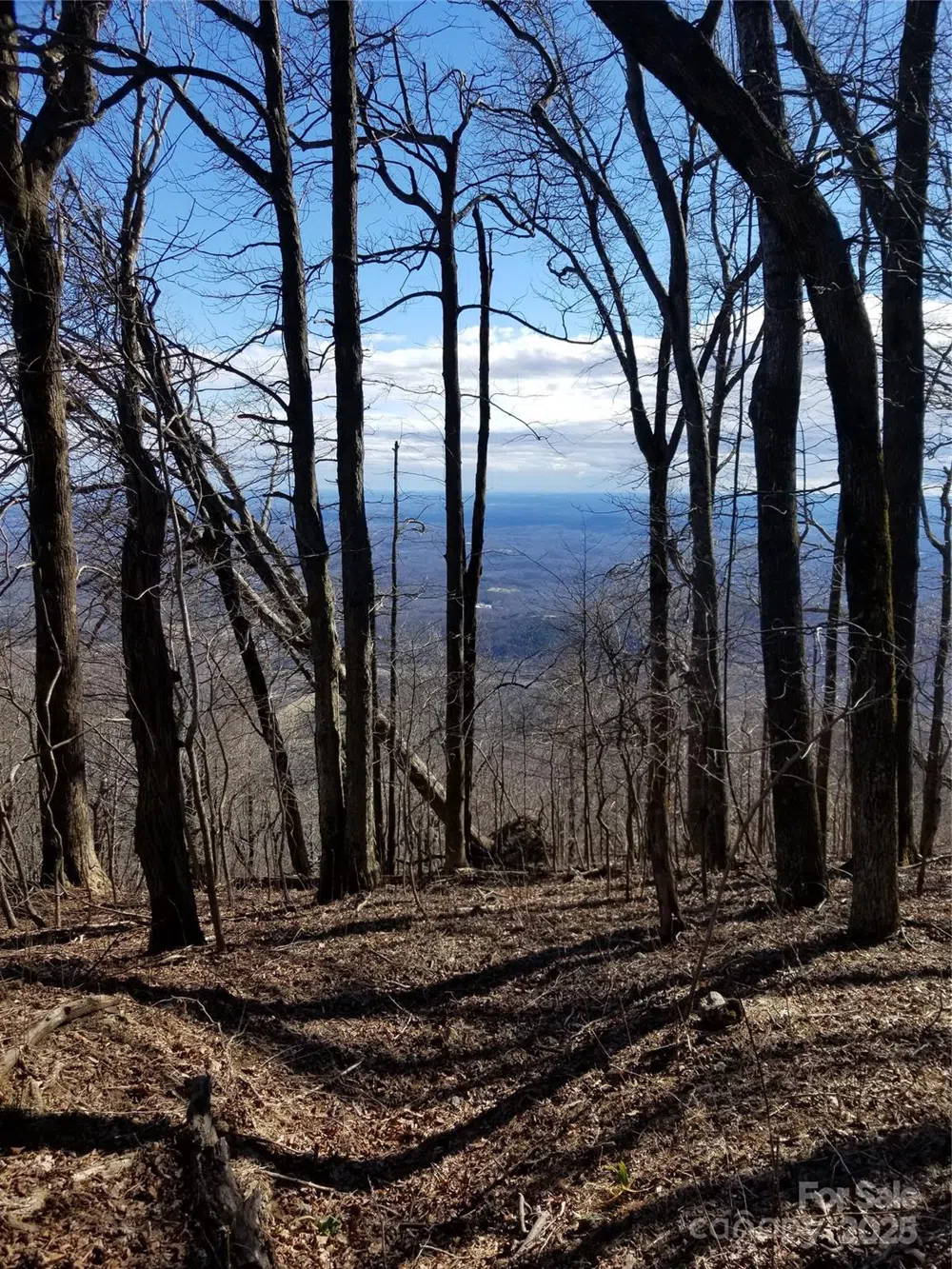1.1 Acre Blockaders Den Road Columbus, NC 28722