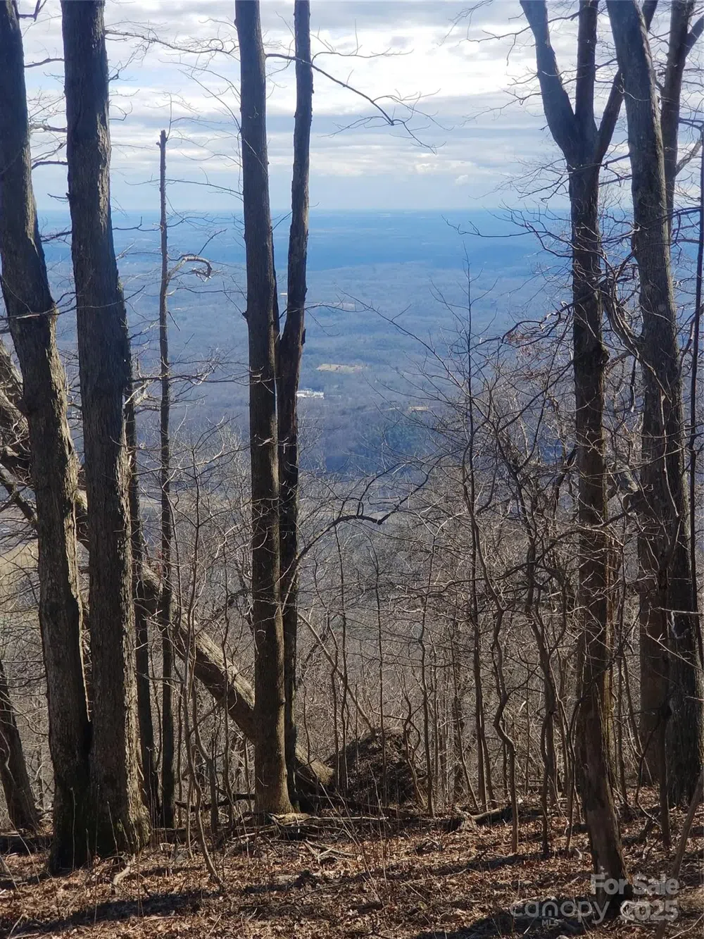 1.1 Acre Blockaders Den Road Columbus, NC 28722