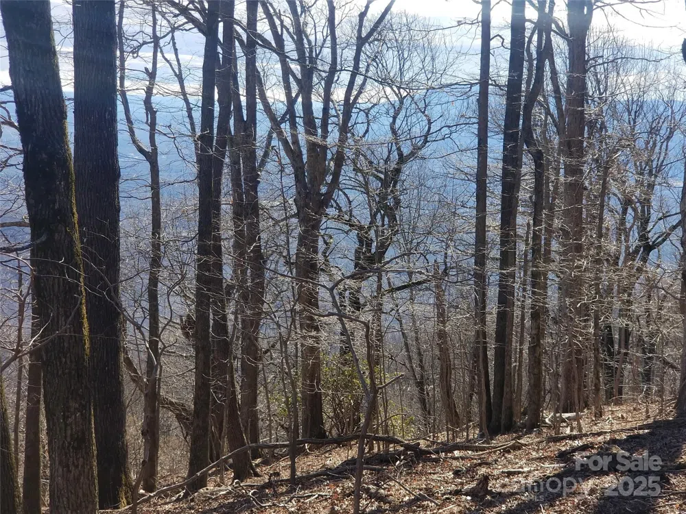 1.1 Acre Blockaders Den Road Columbus, NC 28722