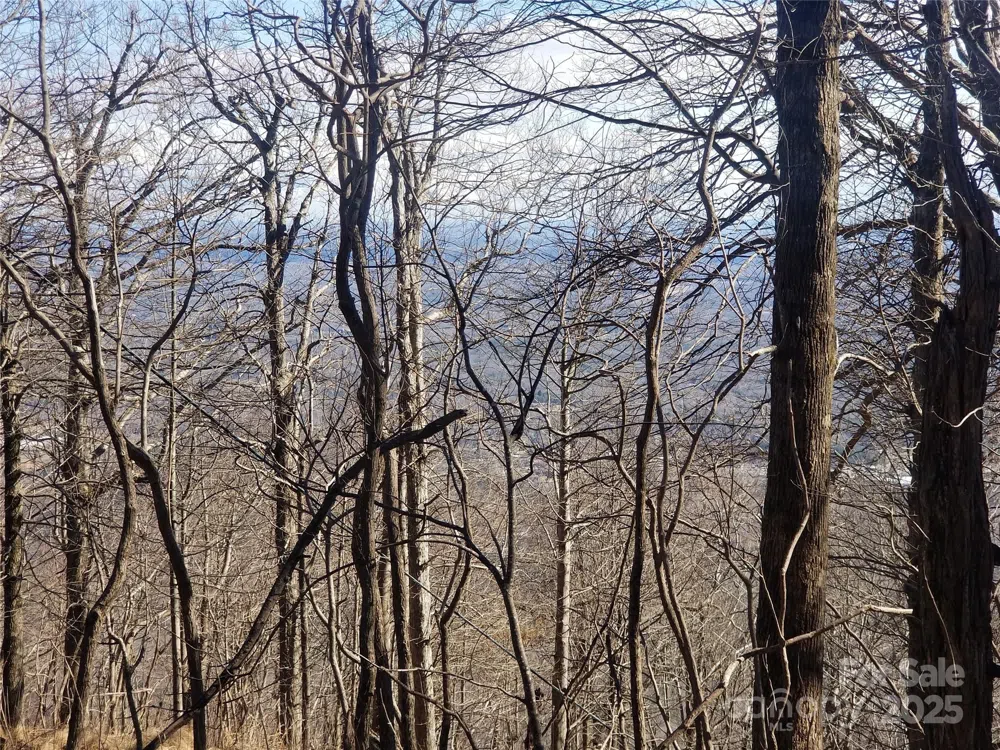 1.1 Acre Blockaders Den Road Columbus, NC 28722