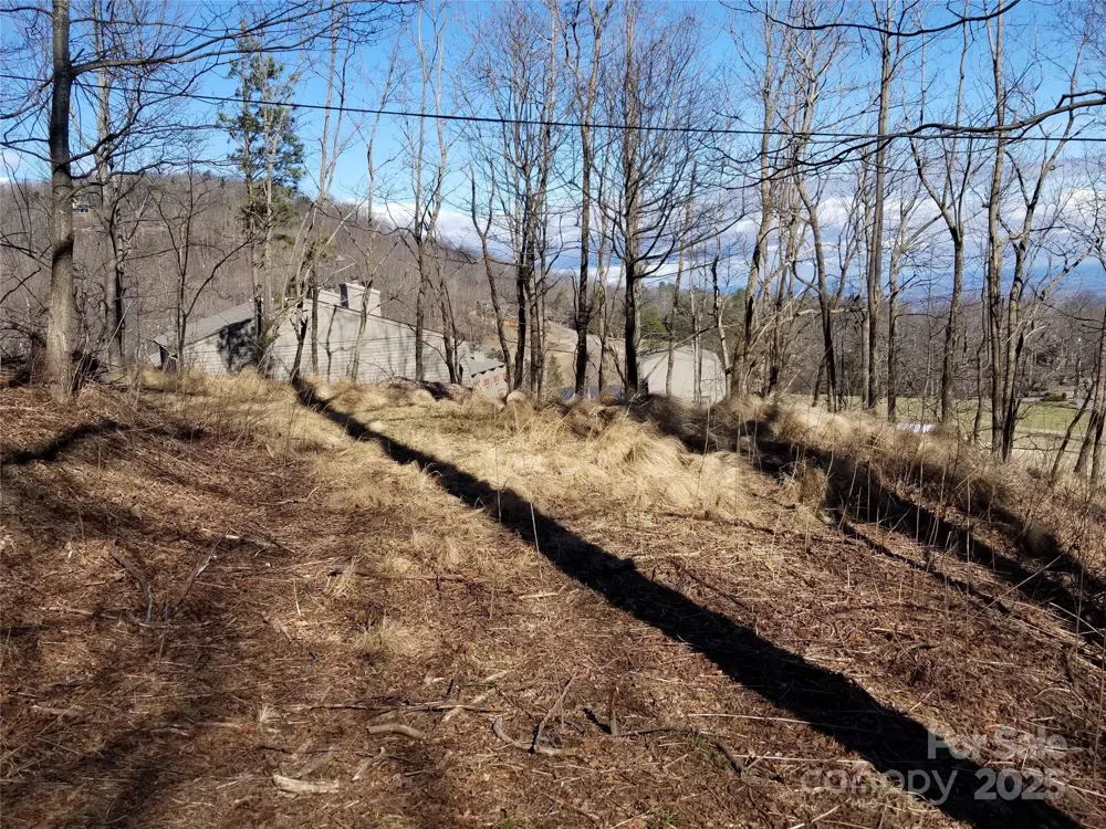 1.1 Acre Blockaders Den Road Columbus, NC 28722
