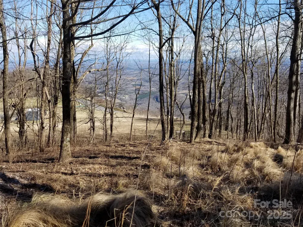 1.1 Acre Blockaders Den Road Columbus, NC 28722