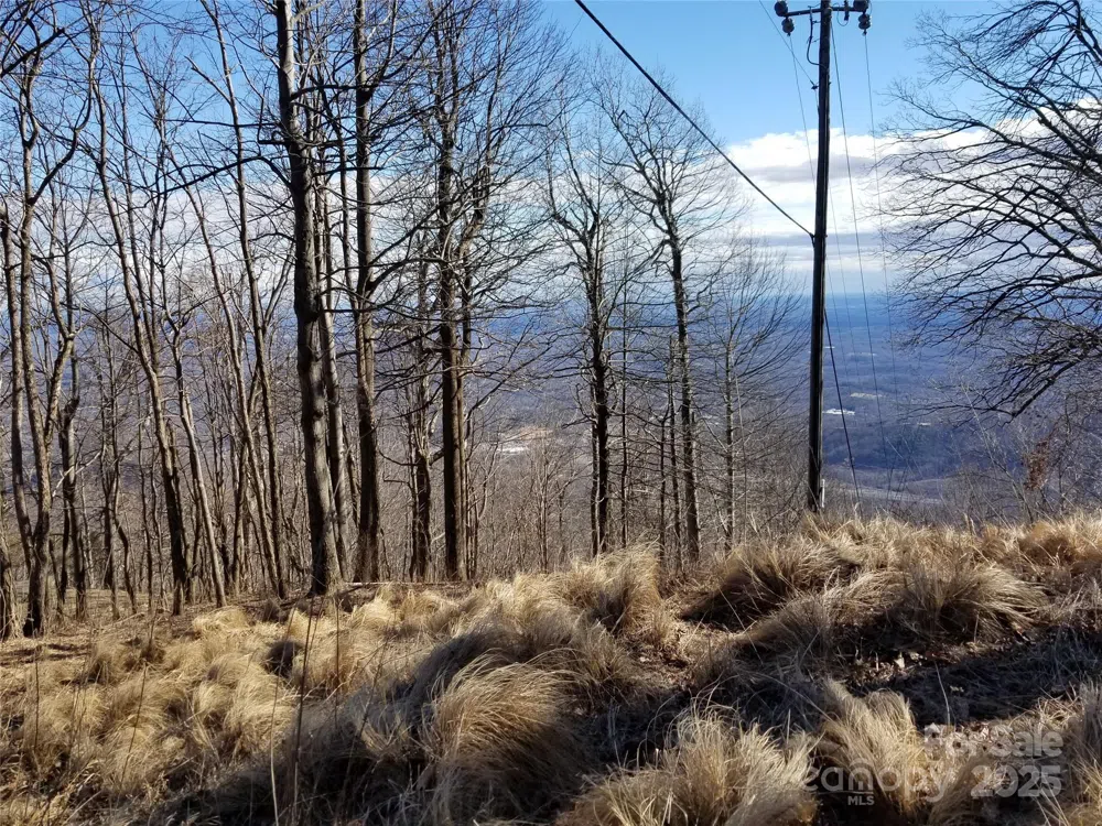1.1 Acre Blockaders Den Road Columbus, NC 28722